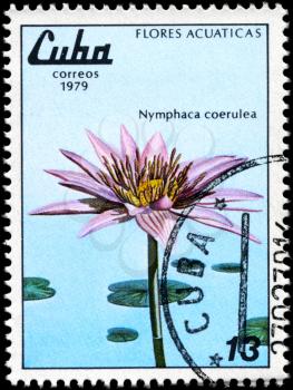 CUBA - CIRCA 1979: A Stamp shows image of a Nymphaea caerulea, also known as the 
Blue Egyptian water lily with the inscription Nymphaca caerulea, from the series aquatic flowers, circa 1979
