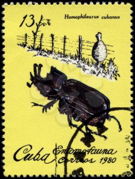 CUBA - CIRCA 1980: A Stamp printed in CUBA shows the image of a Rhino Beetle with the description Homophileurus cubanus from the series Insects, circa 1980