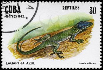 CUBA - CIRCA 1982: A Stamp printed in CUBA shows the image of a Lizard with the description Anolis allisonis from the series Reptiles, circa 1982