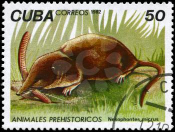 CUBA - CIRCA 1982: A Stamp printed in CUBA shows image of a Nesophontes with the designation Nesophontes micrus from the series Prehistoric Fauna, circa 1982