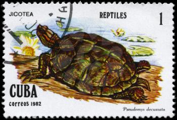 CUBA - CIRCA 1982: A Stamp printed in CUBA shows the image of a Tortoise with the description Pseudemys decussata from the series Reptiles, circa 1982