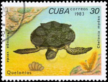 CUBA - CIRCA 1983: A Stamp printed in CUBA shows the image of a Green Turtle with the description Chelonia mydas from the series Turtles, circa 1983
