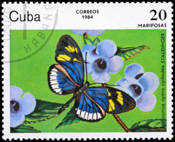 CUBA - CIRCA 1984: A Stamp printed in CUBA shows image of a Butterfly with the description Heliconius cydno cydnides, series, circa 1984
