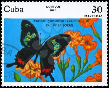 CUBA - CIRCA 1984: A Stamp printed in CUBA shows image of a Butterfly with the description Parides gundlachianus calzadillae, series, circa 1984