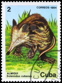 CUBA - CIRCA 1984: A Stamp printed in CUBA shows image of a Cuban Solenodon with the description Solenodon cubanus from the series Fauna, circa 1984
