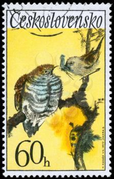 CZECHOSLOVAKIA - CIRCA 1972: A Stamp shows image of the Bird feeding a Fledgling Cuckoos, series, circa 1972