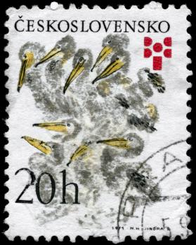 CZECHOSLOVAKIA - CIRCA 1975: A Stamp printed in CZECHOSLOVAKIA shows image of a Pelicans, by Nikita Charushin from the series Book Illustrations (Bratislava BIB 75 biennial exhibition of illustratio