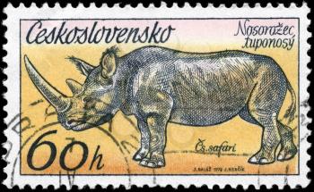 CZECHOSLOVAKIA - CIRCA 1976: A Stamp printed in CZECHOSLOVAKIA shows the image of the Rhinoceros from the series African animals in Dvur Kralove Zoo, circa 1976