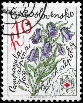 CZECHOSLOVAKIA - CIRCA 1979: A Stamp printed in CZECHOSLOVAKIA shows image of a Alpine Bellflowers, from the series Mountain Flowers, circa 1979