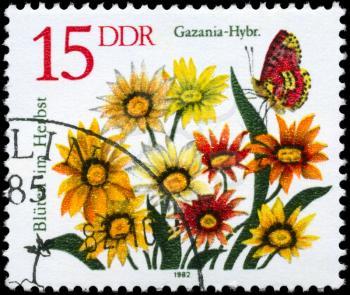 GDR - CIRCA 1982: A Stamp shows image of a Gazania with the inscription Gazania - Hybr., from the series Autumn Flowers, circa 1982