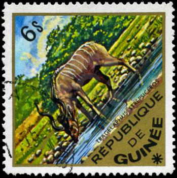GUINEA - CIRCA 1975: A Stamp shows image of a Greater Kudu with the inscription 
Tragelaphus strepsiceros, series, circa 1975