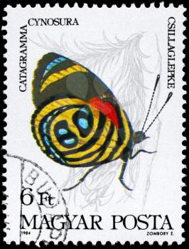 HUNGARY - CIRCA 1984: A Stamp printed in HUNGARY shows image of a Butterfly with the description Catagramma cynosura, series, circa 1984