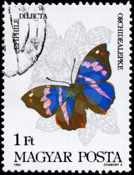 HUNGARY - CIRCA 1984: A Stamp printed in HUNGARY shows image of a Butterfly with the description Epiphille dilecta, series, circa 1984