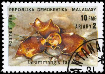 MALAGASY REPUBLIC - CIRCA 1988: A Stamp printed in MALAGASY REPUBLIC shows image of a Grammangis fallax, from the series Orchids, circa 1988