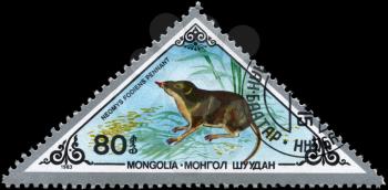 MONGOLIA - CIRCA 1983: A Stamp printed in MONGOLIA shows image of a Eurasian Water Shrew with the designation Neomys fodiens pennant from the series Rodents, circa 1983