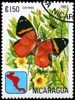 NICARAGUA - CIRCA 1982: A Stamp printed in NICARAGUA shows image of a Butterfly with the description Callizona acesta, series, circa 1982
