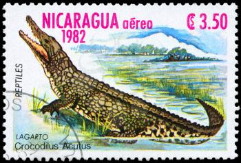 NICARAGUA - CIRCA 1982: A Stamp printed in NICARAGUA shows the image of a Crocodile with the description Crocodilus acutus from the series Reptiles, circa 1982