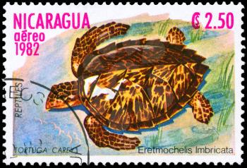 NICARAGUA - CIRCA 1982: A Stamp printed in NICARAGUA shows the image of a Turtle with the description Eretmochelys imbricata from the series Reptiles, circa 1982