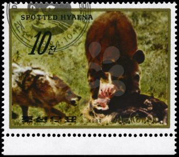 NORTH KOREA - CIRCA 1984: A Stamp printed in NORTH KOREA shows image of a Fox and Spotted Hyena with prey from the series Wild Animals, circa 1984