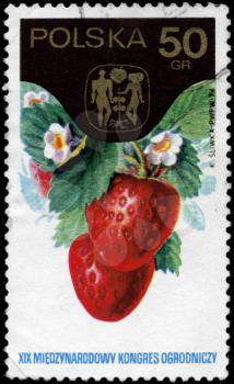POLAND - CIRCA 1974: A Stamp printed in POLAND shows image of a Strawberries and Congress Emblem, from the series 19th Intl. Horticultural Cong., circa 1974