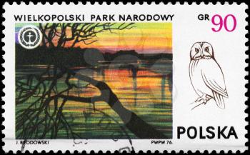 POLAND - CIRCA 1976: A Stamp printed in POLAND shows the Wielkopolski Park and Owl, from the series National Parks, circa 1976