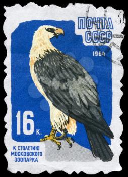 USSR - CIRCA 1964: A Stamp printed in USSR shows image of a Lammergeier from the series 100th anniv. of the Moscow zoo, circa 1964