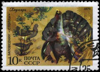 USSR - CIRCA 1975: A Stamp printed in USSR shows image of a Wood Grouse with the inscription Stolby Wildlife Reservation, series, circa 1975