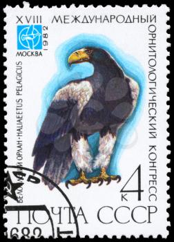 USSR - CIRCA 1982: A Stamp printed in USSR shows image of a Steller's Sea Eagle with the inscription Haliaeetus pelagicus from the series Rare Birds devoted 18th Ornithological Cong., Moscow, circ