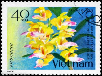VIETNAM - CIRCA 1979: A Stamp shows image of a Aerides or the Cat's-tail Orchid or the Fox Brush Orchid, with the inscription Aerides Falcatum Lindl Var Houlletianum Veitch, from the series Orchids