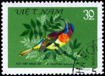 VIETNAM - CIRCA 1981: A Stamp shows image of a Bird with the inscription Aethopyga saturata from the series Nectar-sucking Birds, circa 1981
