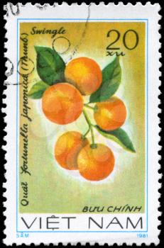 VIETNAM - CIRCA 1981: A Stamp printed in VIETNAM shows the  Kumquat Fortunella japonica, from the series Fruit, circa 1981