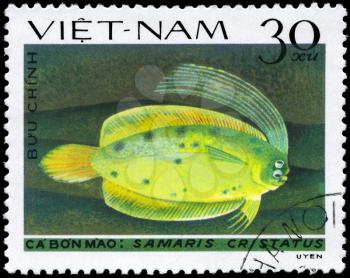 VIETNAM - CIRCA 1982: A Stamp printed in VIETNAM shows image of a Crested Flounder with the inscription Samaris cristatus from the series Fish, circa 1982
