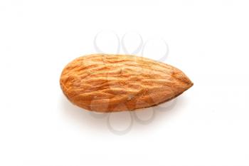 Royalty Free Photo of an Almond