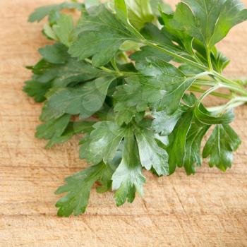 Royalty Free Photo of Parsley