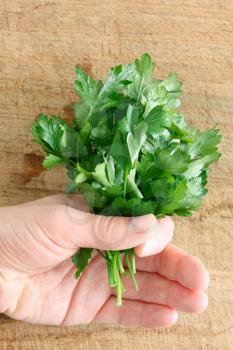 Royalty Free Photo of a Person Holding Parsley