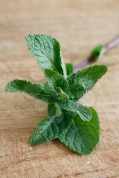 Royalty Free Photo of Mint Leaves