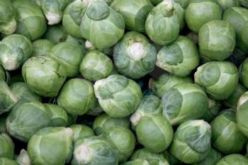 Royalty Free Photo of Brussel Sprouts