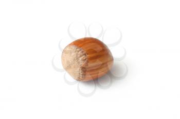 Royalty Free Photo of a Hazelnut