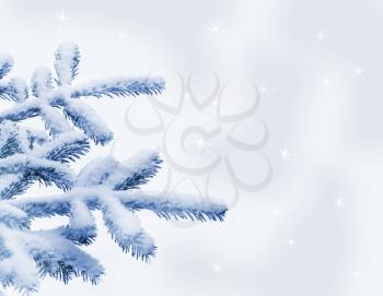 Royalty Free Photo of a Snow Covered Pine Tree