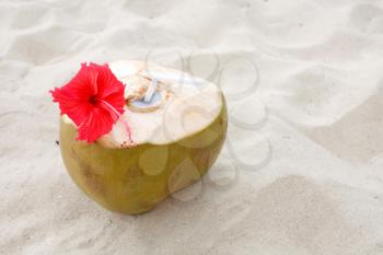 Royalty Free Photo of a Coconut Drink
