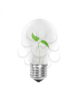Royalty Free Photo of a Plant in a Light Bulb