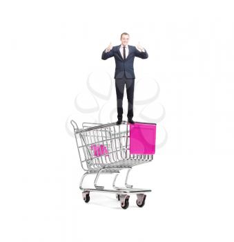 A miniature shopping trolley and businessman