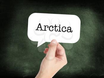Arctica written on a speechbubble