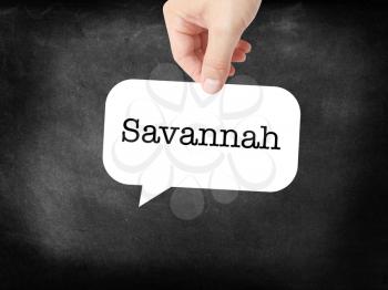 Savannah written on a speechbubble