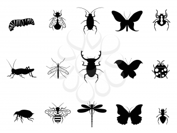 isolated insects icon from white background