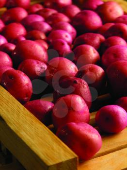 Royalty Free Photo of Red Potatoes