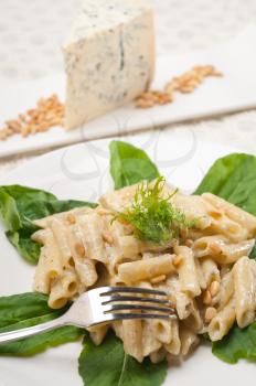 Royalty Free Photo of Penne Pasta and Gorgonzola Cheese