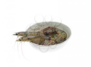 raw fresh alive shrimps on a bowl over white background