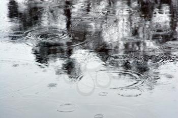 Royalty Free Photo of a Puddle With Raindrops