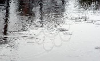 Royalty Free Photo of Raindrops in a Puddle